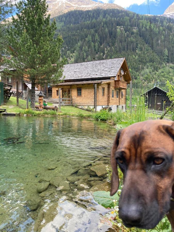 Gletscher Chalet Flattach Exterior foto